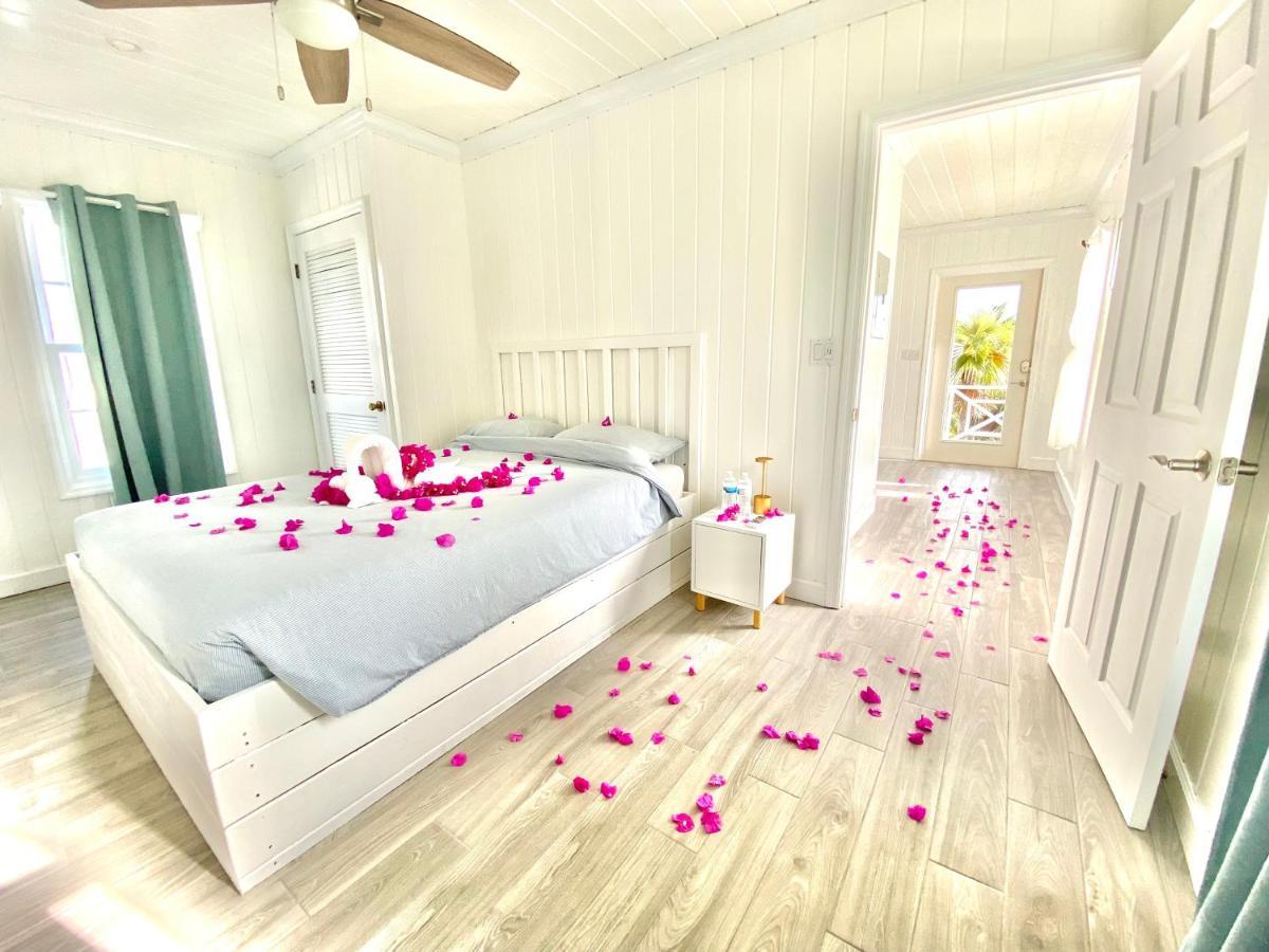 Eleuthera Retreat - Villa & Cottages On Pink Sand Beachfront Palmetto Point Ngoại thất bức ảnh