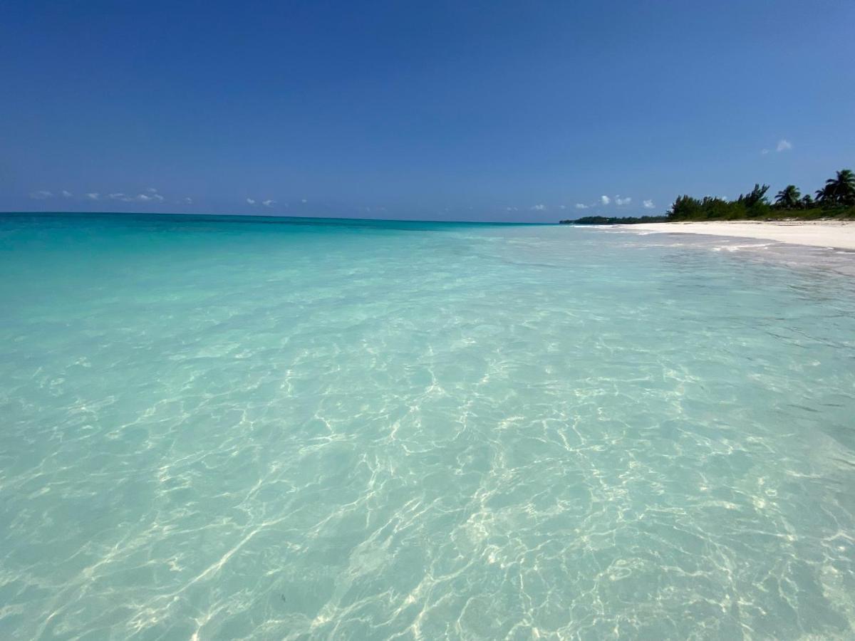 Eleuthera Retreat - Villa & Cottages On Pink Sand Beachfront Palmetto Point Ngoại thất bức ảnh